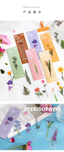 Load image into Gallery viewer, Limited Edition - Floral & Plant Natural Stickers (6 Types)