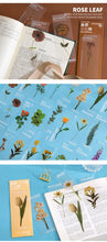 Load image into Gallery viewer, Limited Edition - Floral & Plant Natural Stickers (6 Types)
