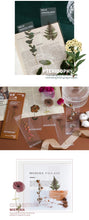 Load image into Gallery viewer, Limited Edition - Floral & Plant Natural Stickers (6 Types)