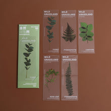 Load image into Gallery viewer, Limited Edition - Floral & Plant Natural Stickers (6 Types)