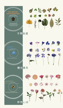 Load image into Gallery viewer, Japanese Floral Stickers in a CD - Original Kawaii Pen