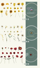 Load image into Gallery viewer, Japanese Floral Stickers in a CD - Original Kawaii Pen