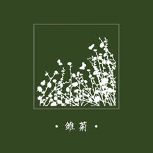 Load image into Gallery viewer, Wizard of Oz Wooden Stamps