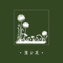 Load image into Gallery viewer, Wizard of Oz Wooden Stamps