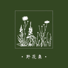 Load image into Gallery viewer, Wizard of Oz Wooden Stamps