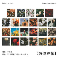 Load image into Gallery viewer, Sunset & Landscape Stickers