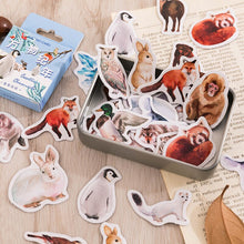 Load image into Gallery viewer, Animal Forest Sticker Box