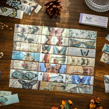 Load image into Gallery viewer, Past & Distant Future Stickers - Deluxe Edition