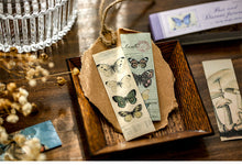 Load image into Gallery viewer, Past & Distant Future Stickers - Deluxe Edition