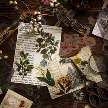 Load image into Gallery viewer, The Last Blossom Stickers - Limited Edition