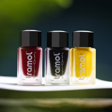 Load image into Gallery viewer, Tramol Candy Color Waterproof Inks (18ml)