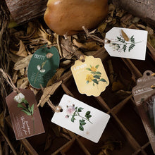 Load image into Gallery viewer, Forest Series Stickers
