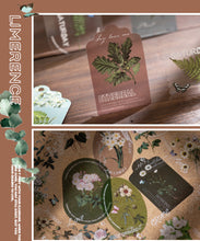 Load image into Gallery viewer, Forest Series Stickers