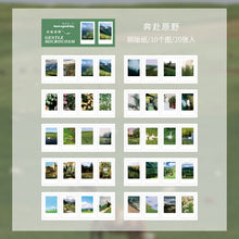 Load image into Gallery viewer, Gentle Microcosm Shiny Sticker