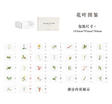 Load image into Gallery viewer, 2022 Vintage oil painting plants Desktop Calendar Daily Scheduler Table Planner Yearly Agenda Organizer 365days To Do List Book