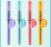 Load image into Gallery viewer, Platinum Star Cartoon Fountain Pen