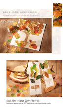 Load image into Gallery viewer, Fallen Leaves Sticker Rolls