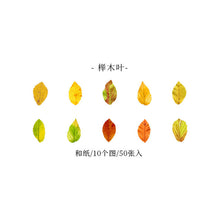 Load image into Gallery viewer, Fallen Leaves Sticker Rolls