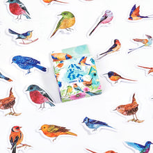 Load image into Gallery viewer, Colorful Bird Town Stickers