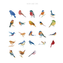 Load image into Gallery viewer, Colorful Bird Town Stickers