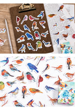 Load image into Gallery viewer, Colorful Bird Town Stickers