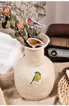 Load image into Gallery viewer, Colorful Bird Town Stickers