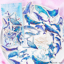 Load image into Gallery viewer, Exotic Planet Stickers - Limited Edition (10 Designs)