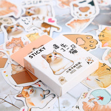 Load image into Gallery viewer, Orange Kitty Stickers