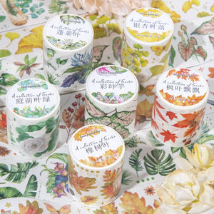 Collections of Leaves Series Washi Tapes