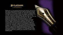 Load image into Gallery viewer, PLATINUM PREFOUNTE PPF-800 Fountain Pen
