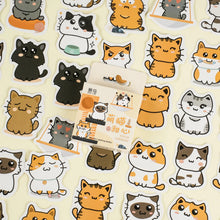 Load image into Gallery viewer, The Kitty Collection Stickers
