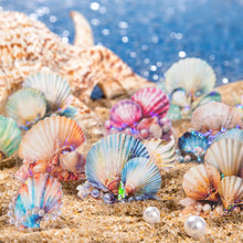 Load image into Gallery viewer, Vintage Style Seashells Decorative Stickers
