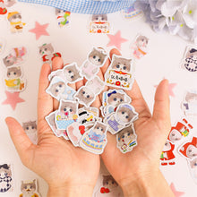 Load image into Gallery viewer, Sweet Kitty Decorative Stickers

