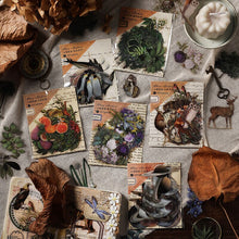 Load image into Gallery viewer, Vintage Style Nature &amp; Animal Stickers (6 Designs)
