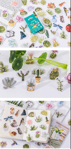 Succulent Plant Stories Stickers