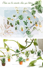 Load image into Gallery viewer, House Plant Paper Stickers - Original Kawaii Pen
