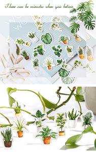 House Plant Paper Stickers - Original Kawaii Pen