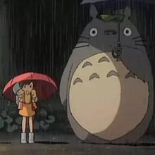 Load image into Gallery viewer, My Neighbor Totoro Plush Toy
