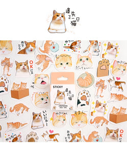 Orange Kitty Stickers
