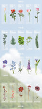 Load image into Gallery viewer, Limited Edition - Floral &amp; Plant Natural Stickers (6 Types)
