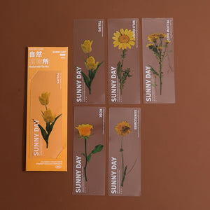 Limited Edition - Floral & Plant Natural Stickers (6 Types)