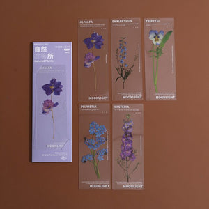 Limited Edition - Floral & Plant Natural Stickers (6 Types)