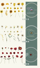 Load image into Gallery viewer, Japanese Floral Stickers in a CD
