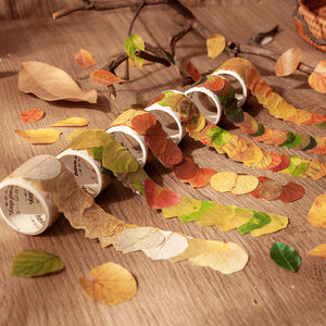 Fallen Leaves Sticker Rolls