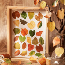 Load image into Gallery viewer, Fallen Leaves Sticker Rolls
